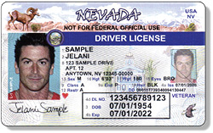 Sample Real ID compliant adult ID