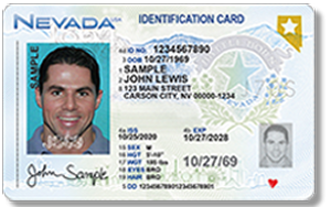 Sample Real ID compliant adult ID