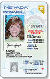 Sample Real ID compliant minor ID